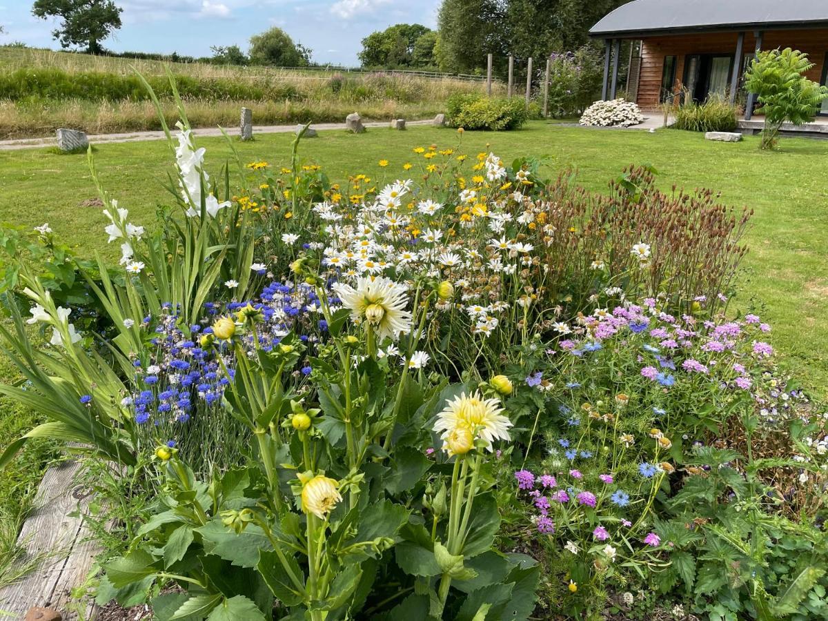 Foxglove Glastonbury Esterno foto